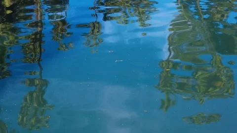 Shot of Ripples in a Pond while panning left. Stock Footage 85458090