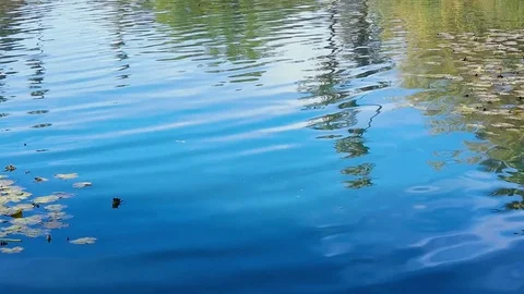 Shot of Ripples in water while ducks swim over the reflections of the sky. 스톡 동영상 85457905