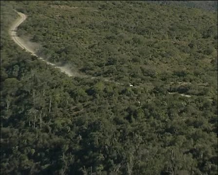 A shot of the river and forest. Stock Footage 11628722