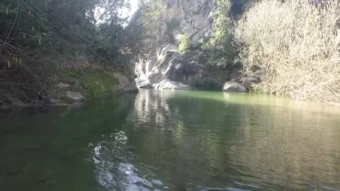 A shot of a river in the middle of a forest Video stock 149127910