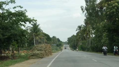 Shot of road with trees on both sides of road Vídeo Stock 156972803