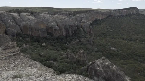 Shot of the Rock Cliffs and Caatinga Vegetation in Serra da Capivara, Piauí Stock Footage 321904453