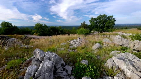 Shot of rocky land in carso karst Video stock 233686953