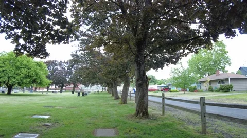 Shot of a Row of Trees in a Cemetery in Portland, OR 4K Stock Footage 154381053
