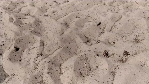 Up shot of sand from the bottom Stock Footage 94472536