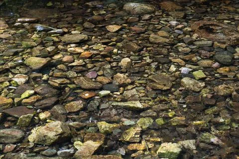 Shot of a shallow river Stock Photos