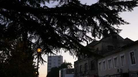 Shot in Shkodër in Albania, lamppost behind some leaves at night Stock Footage 137134456