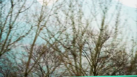 Shot from side of moving car with trees and railings flying past with the Video stock 238386144