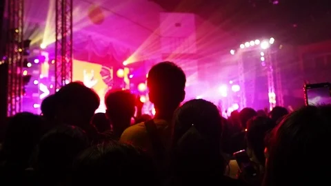 Shot of some cheering fans dancing in a free live concert in music festival. Stock Footage 99501077