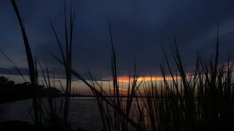 Shot of Sunset over lake through grass Stock Footage 98909573