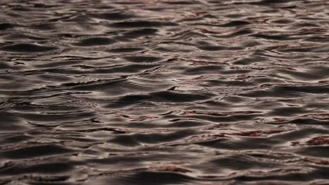 Shot of sunset on water HD Stock Footage 235581860