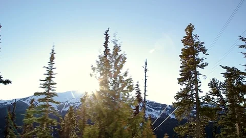 A shot of sunshine coming through the trees with a view of Whistler mountain in Stock Footage 101782231