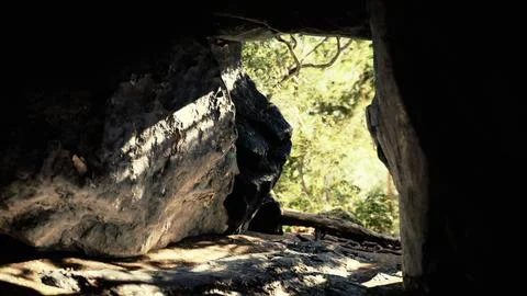 Shot taken from inside a small cave looking out Illustrazione stock