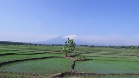 Shot taken from Train, Rice fields with Volcano in Background, Indonesia2 Stock Footage 131151847