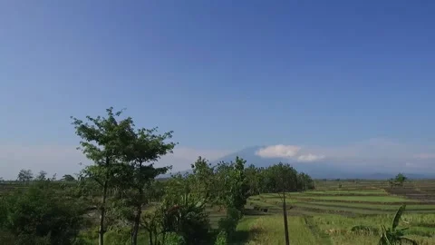 Shot taken from Train, Rice fields with Volcano in Background, Indonesia Stock Footage 131151903