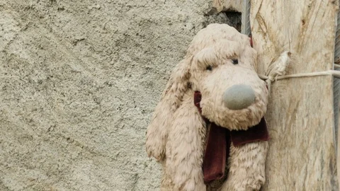 Shot of a teddy bear in Shkodër, Albania Video stock 84679313