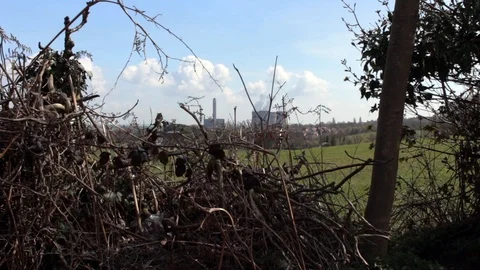 Shot through hedge, towers belching into the air Stock Footage 85594571