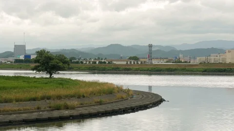 Shot of a tree close to Sendai River in Tottori, Japan, wide Stock Footage 92186424