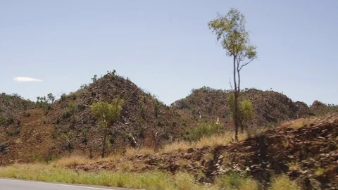 A shot of trees and mountains Stock Footage 91674654