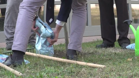 A shot of two men planting a tree Stock Footage 118808151