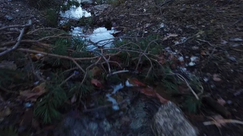 A shot very close to the ground of  a tiny creek Stock Footage 123518272