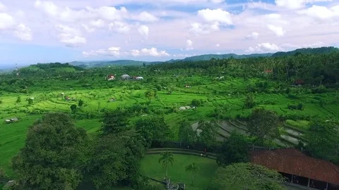 Shot, view, flight from the drone on the terraces, rice fields. Bali, Indonesia. Video stock 92185409