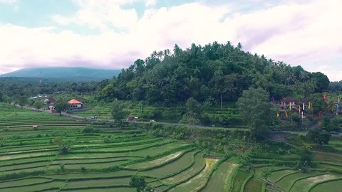Shot, view, flight from the drone on the terraces, rice fields. Bali, Indonesia. Video stock 92185599