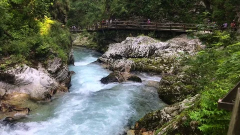A shot at vintgar gorge Stock Footage 112056413