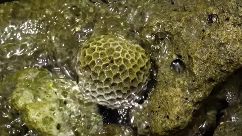 Shot of a water stream creating waves that collide, stock footage. Stock Footage 304796283