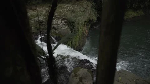 Shot of waterfall behind trees in forest Stock Footage 131525292