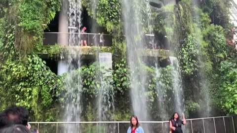 A shot of a waterfall at the Cloud Forest, Gardens by the Bay, Singapore Stock Footage 251273915