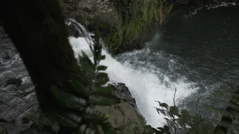 Shot of waterfall in forest Stock Footage 131525298