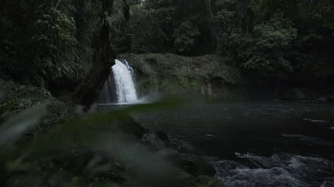 Shot of waterfall in forest Stock Footage 131525434