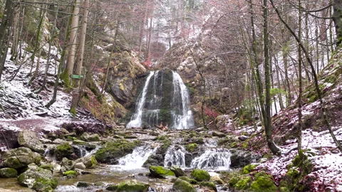 Shot of waterfall in forest with rocks and trees Stock Footage 150036460