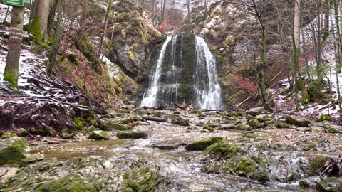 Shot of waterfall in forest with rocks and trees Stock Footage 150037367