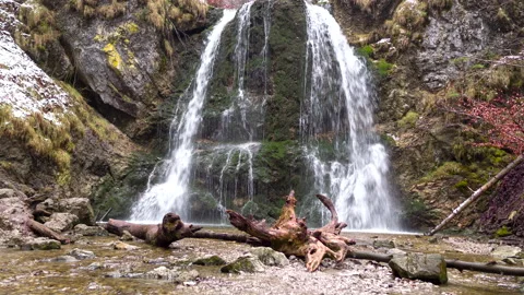 Shot of waterfall in forest with rocks and trees Stock Footage 150039966