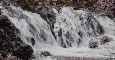 Shot of waterfall in forest with rocks and trees Stock Footage 150346589