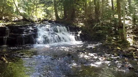 Shot of waterfall in the woods Video stock 81761983