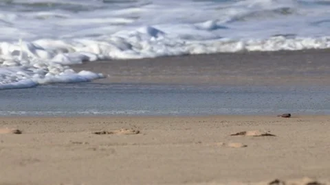 Shot of waves on shoreline Stock Footage 235581328