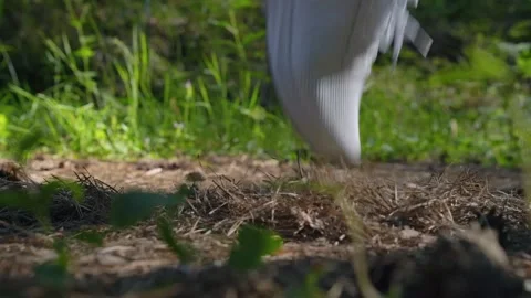 Shot of white sneaker running in frame, step in frame at the forest. slow mo Video stock 157071773