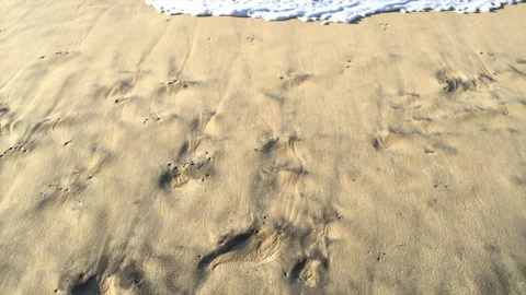 Shot of a white wave coming rolling on the sand of a beach Stock Footage 106623519