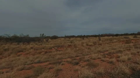 The shot from a window of a car as it drives through the desert in outback Stock Footage 202486757