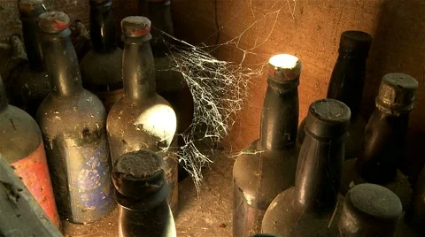 Shot of wine bottles in an old wine cellar, with cobwebs. Stock Footage 62558005