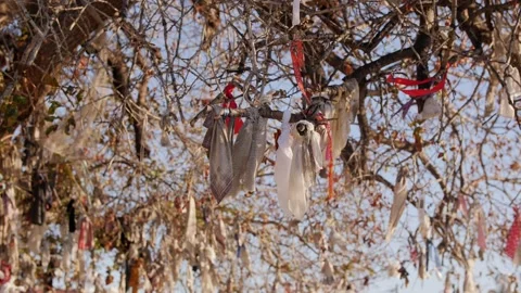 Shot of a wishing tree with countless messages, wishes and hopes Stock Footage 131435696