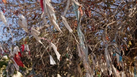 Shot of a wishing tree with countless messages, wishes and hopes Stock Footage 131436001