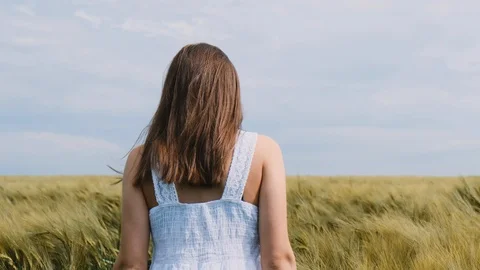 Shot of Woman’s back walking on the Wheat Field. Windy Weather shaking wheat Stock Footage 117684453