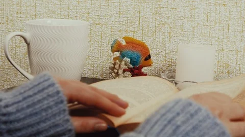Shot of woman's hand reading a book indoors. Close up. Cute girl learn and read Stock Footage 101344623