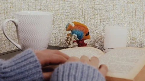 Shot of woman's hand reading a book indoors. Close up. Cute girl learn and read Stock Footage 101344697