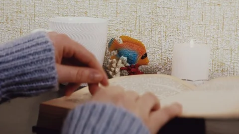 Shot of woman's hand reading a book indoors. Close up. Cute girl learn and read Stock Footage 101344771