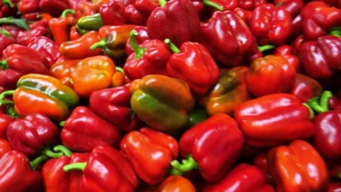 Shot of workers hand picking and placing red bell peppers on conveyor belt for Stock Footage 164236229